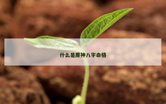 什么是原神八字命格