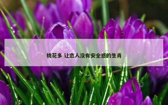 桃花多 让恋人没有安全感的生肖
