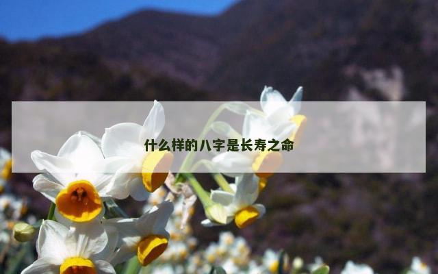什么样的八字是长寿之命