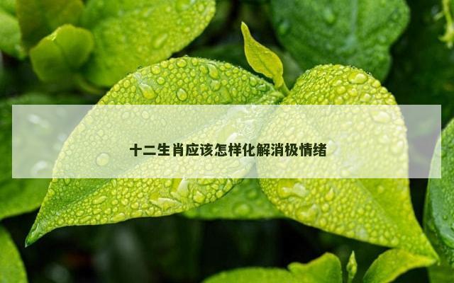 十二生肖应该怎样化解消极情绪