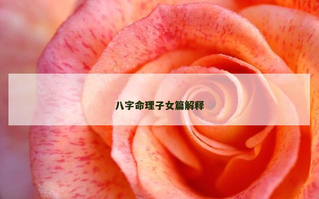 八字命理子女篇解释