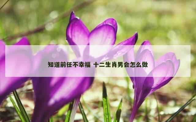 知道前任不幸福 十二生肖男会怎么做