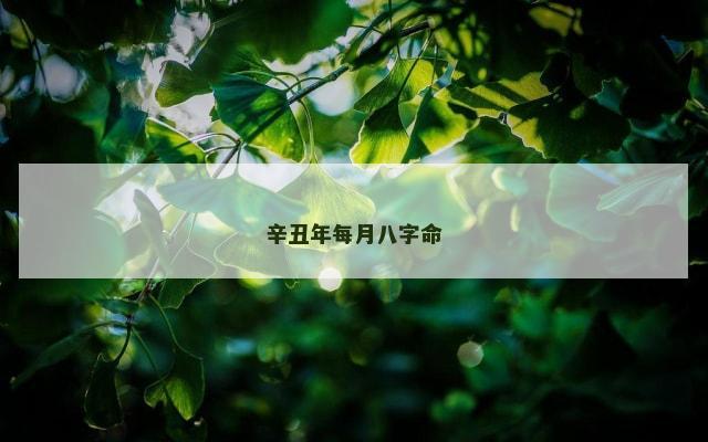 辛丑年每月八字命