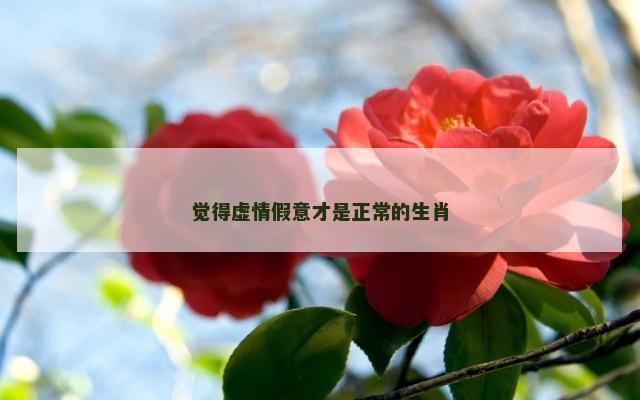 觉得虚情假意才是正常的生肖