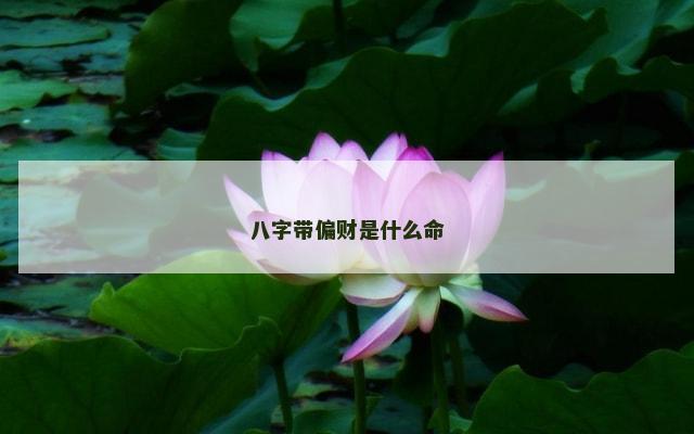 八字带偏财是什么命