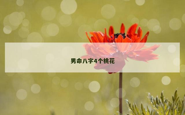 男命八字4个桃花