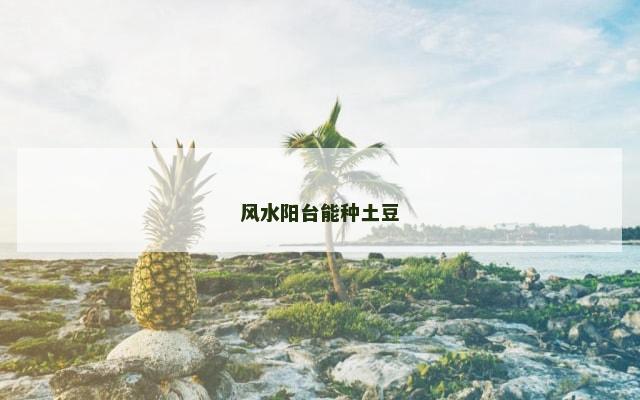 风水阳台能种土豆
