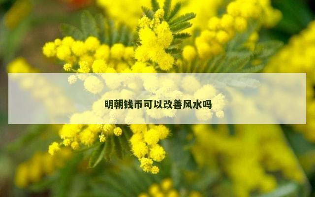 明朝钱币可以改善风水吗
