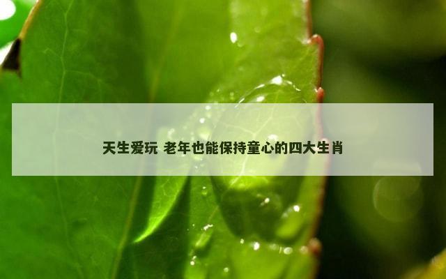 天生爱玩 老年也能保持童心的四大生肖