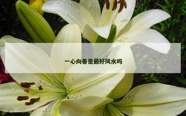 一心向善是最好风水吗