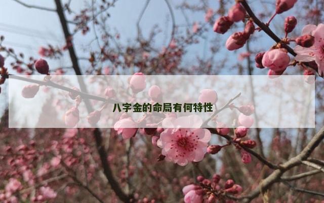 八字金的命局有何特性