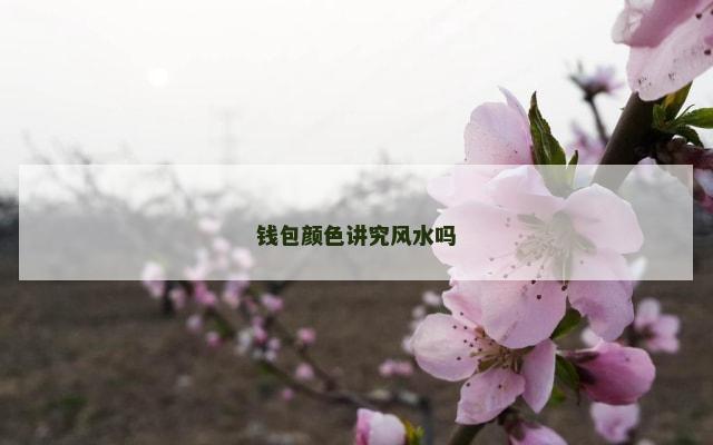 钱包颜色讲究风水吗