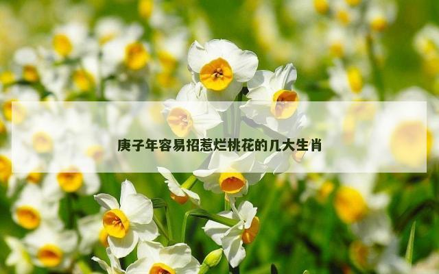 庚子年容易招惹烂桃花的几大生肖