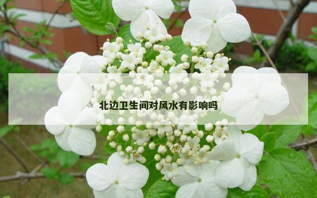 北边卫生间对风水有影响吗