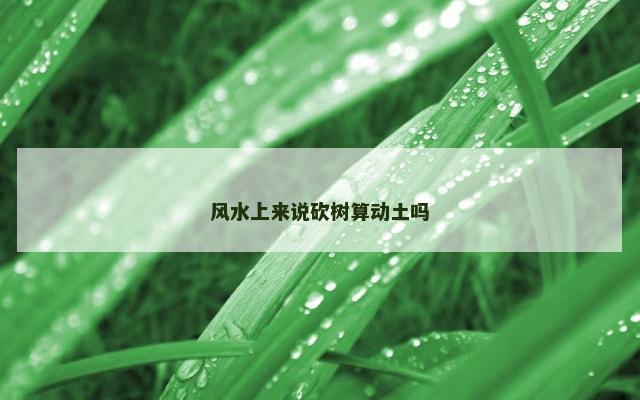 风水上来说砍树算动土吗