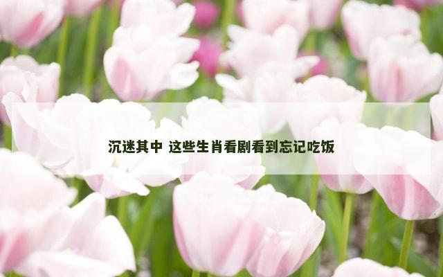 沉迷其中 这些生肖看剧看到忘记吃饭