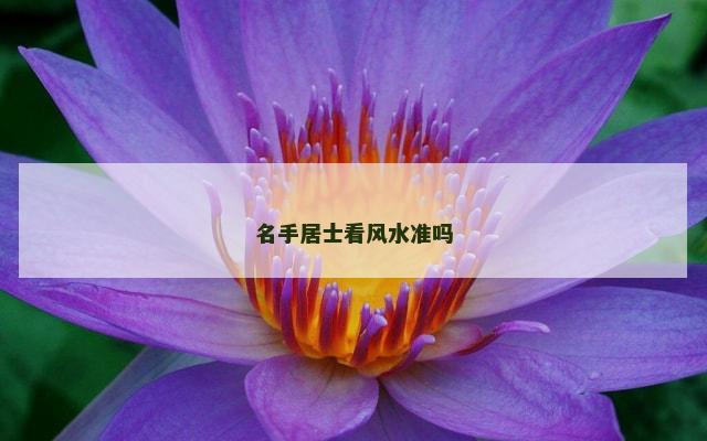 名手居士看风水准吗