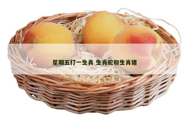 星期五打一生肖 生肖蛇和生肖猪