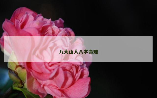八大山人八字命理