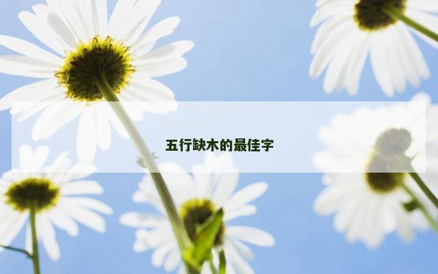 五行缺木的最佳字