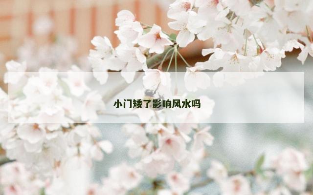 小门矮了影响风水吗