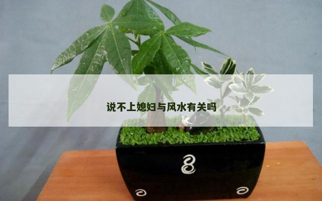 说不上媳妇与风水有关吗