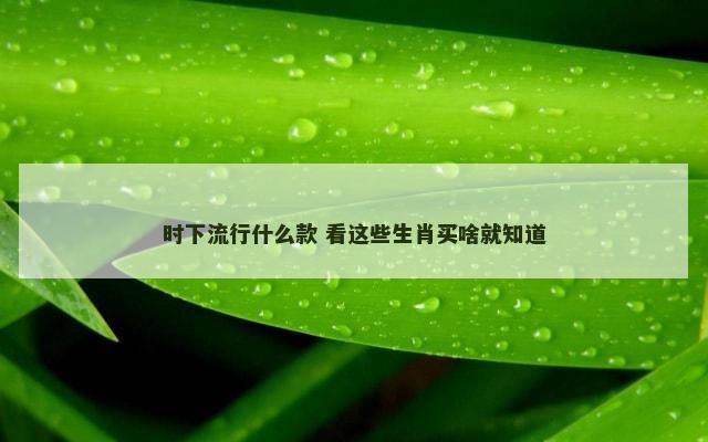 时下流行什么款 看这些生肖买啥就知道