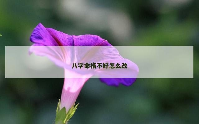 八字命格不好怎么改
