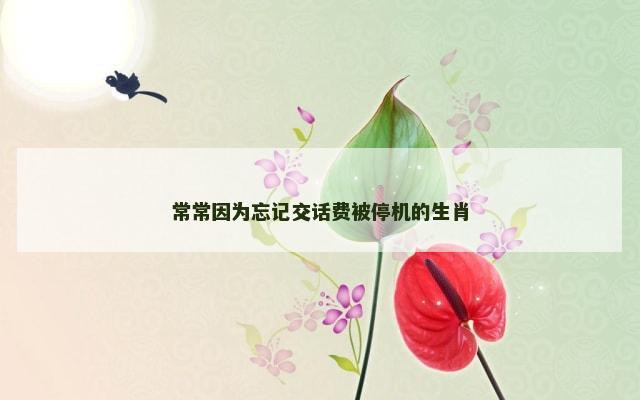 常常因为忘记交话费被停机的生肖