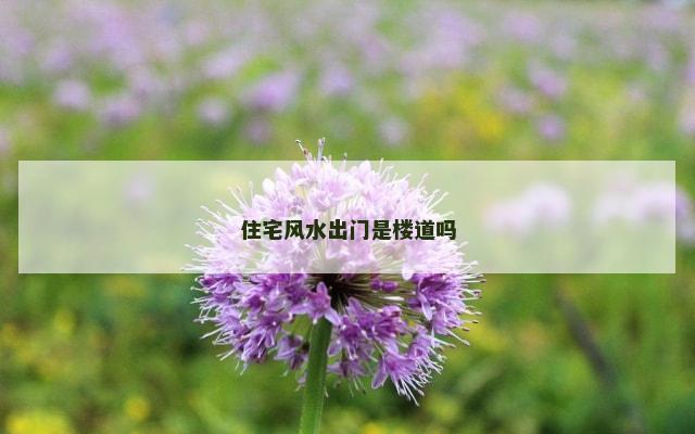 住宅风水出门是楼道吗