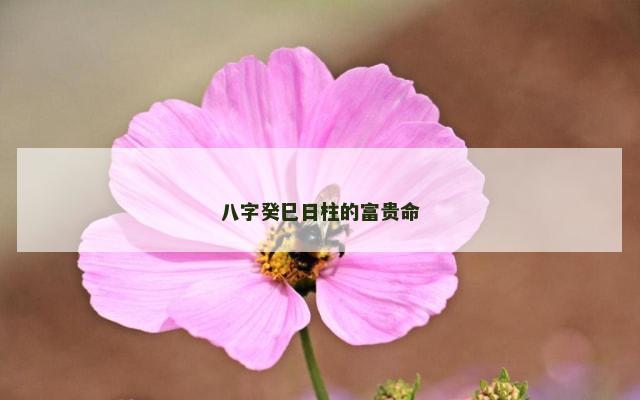 八字癸巳日柱的富贵命