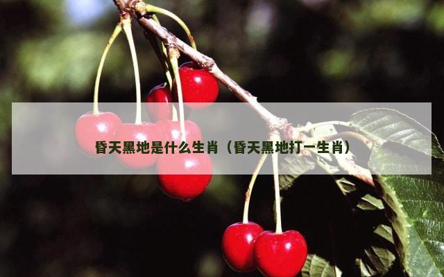 昏天黑地是什么生肖（昏天黑地打一生肖）