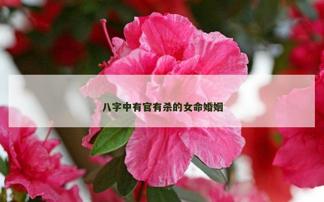 八字中有官有杀的女命婚姻