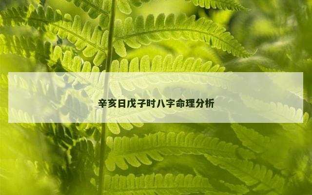 辛亥日戊子时八字命理分析