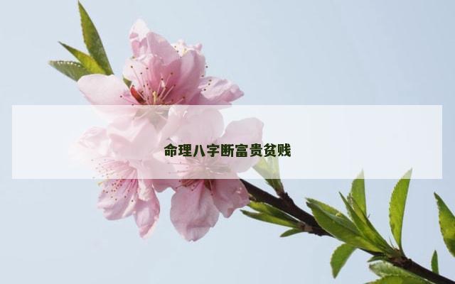 命理八字断富贵贫贱