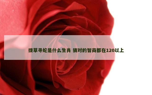 拨草寻蛇是什么生肖 猜对的智商都在120以上