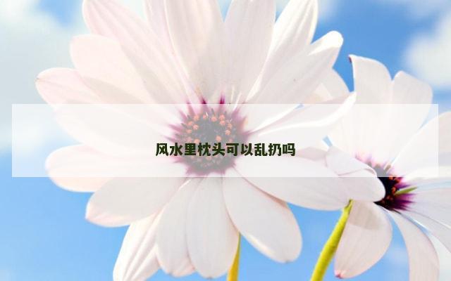 风水里枕头可以乱扔吗