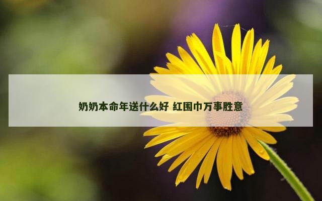 奶奶本命年送什么好 红围巾万事胜意