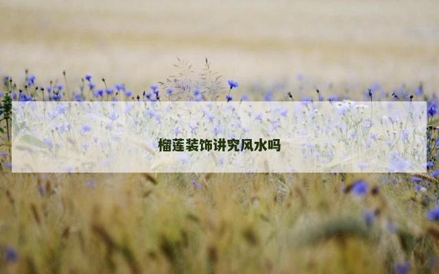 榴莲装饰讲究风水吗