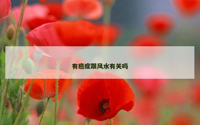 有癌症跟风水有关吗