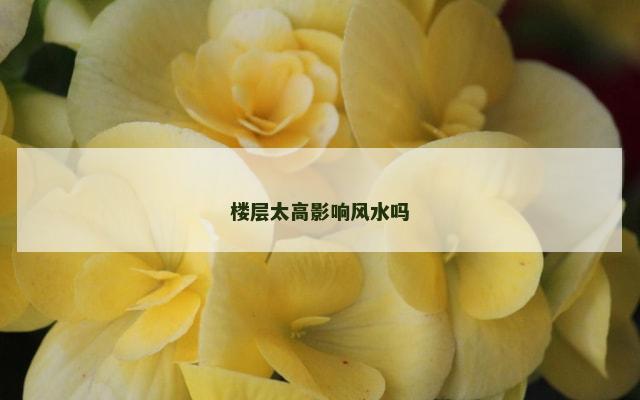 楼层太高影响风水吗