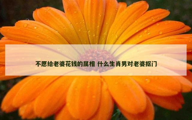 不愿给老婆花钱的属相 什么生肖男对老婆抠门