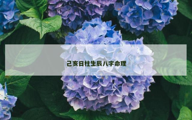 己亥日柱生辰八字命理