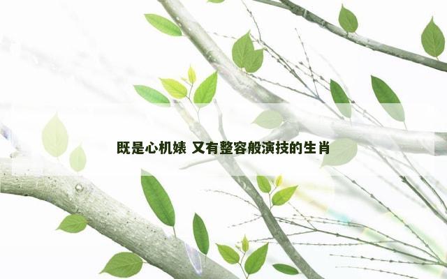 既是心机婊 又有整容般演技的生肖