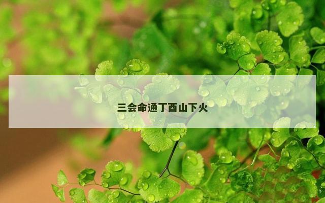 三会命通丁酉山下火
