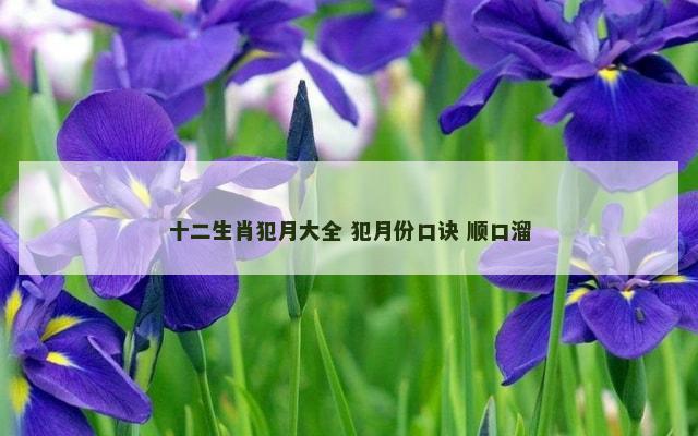 十二生肖犯月大全 犯月份口诀 顺口溜