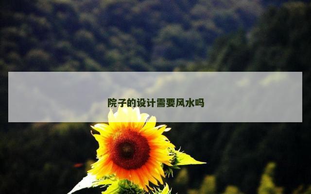 院子的设计需要风水吗