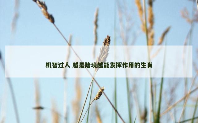 机智过人 越是险境越能发挥作用的生肖