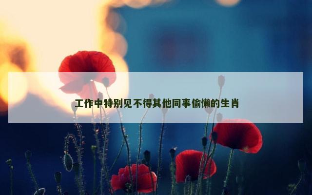 工作中特别见不得其他同事偷懒的生肖