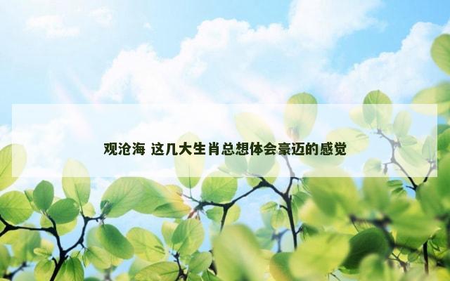 观沧海 这几大生肖总想体会豪迈的感觉